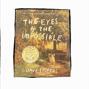 The Eyes & The Impossible Book by Dave Eggers